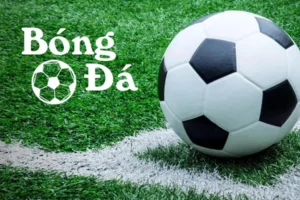 Phân Biệt Tình Huống Bóng Trong Cuộc Và Bóng Ngoài Cuộc Trên Sân Cỏ