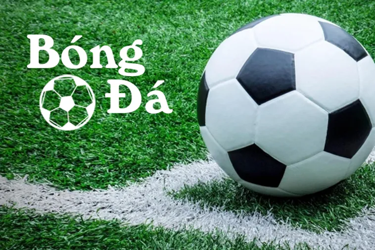 Phân Biệt Tình Huống Bóng Trong Cuộc Và Bóng Ngoài Cuộc Trên Sân Cỏ