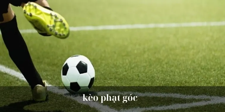 Cẩm Nang Toàn Tập Cách Chơi Kèo Phạt Góc Bóng Đá Chắc Thắng