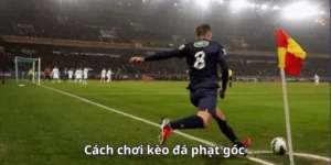 Cẩm Nang Toàn Tập Cách Chơi Kèo Phạt Góc Bóng Đá Chắc Thắng