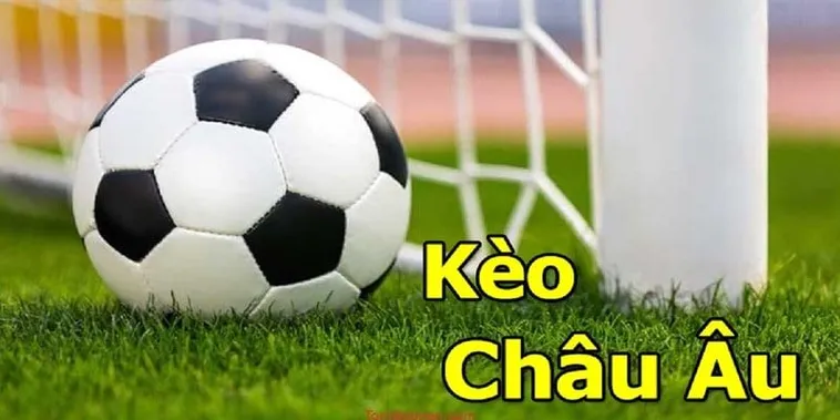 Hướng Dẫn Cách Chơi Kèo Châu Âu Hiệu Quả Cho Người Mới Bắt Đầu
