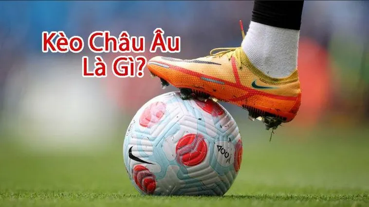 Hướng Dẫn Cách Chơi Kèo Châu Âu Hiệu Quả Cho Người Mới Bắt Đầu