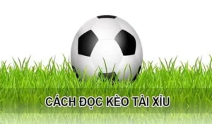 Cách Chơi Kèo Tài Xỉu Hiệp 1 Hiệu Quả Nhất Để Thắng Lớn