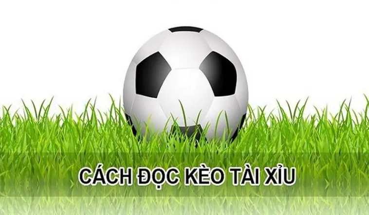 Cách Chơi Kèo Tài Xỉu Hiệp 1 Hiệu Quả Nhất Để Thắng Lớn