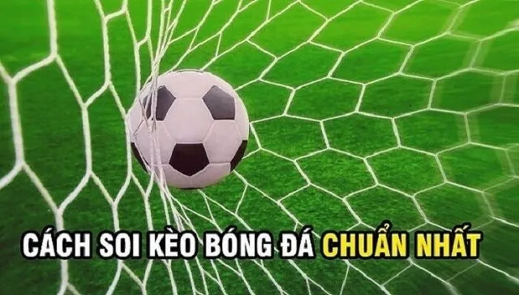 Bí Quyết Cách Chơi Kèo Rung Trong Bóng Đá Để Luôn Giành Chiến Thắng